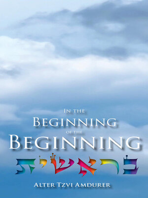 cover image of In the Beginning of the Beginning